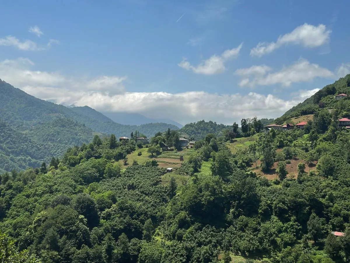 Chalet One Day In The Village/Ერთი Დღე Სოფელში Batumi